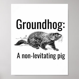 Affiche Marmotte Un Cochon Non-Lévitant Drôle de Calembour