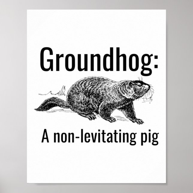 Affiche Marmotte Un Cochon Non-Lévitant Drôle de Calembour (Devant)