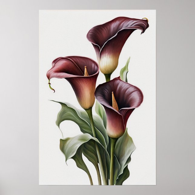 Affiche Maroon Calla Lilies Lily Flower Art Imprimer Poste (Devant)