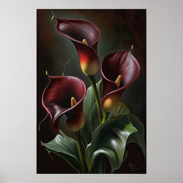 Affiche Maroon Calla Lilies Lily Flower Art Imprimer Poste (Devant)