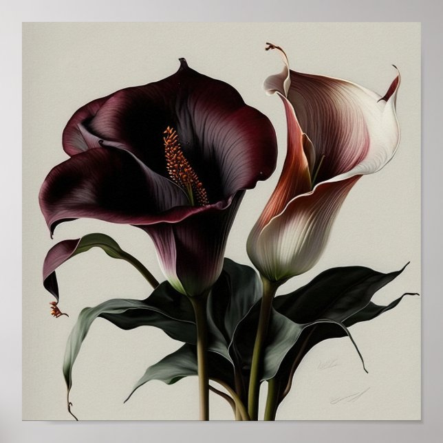 Affiche Maroon Calla Lilies Lily Flower Art Imprimer Poste (Devant)