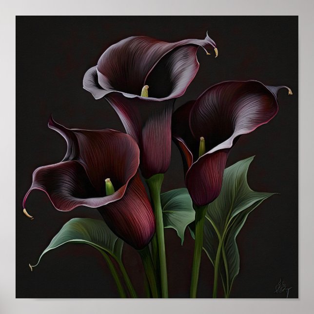 Affiche Maroon Calla Lilies Lily Flower Art Imprimer Poste (Devant)