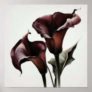 Affiche Maroon Calla Lilies Lily Flower Art Imprimer Poste