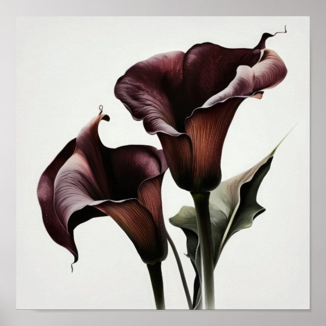 Affiche Maroon Calla Lilies Lily Flower Art Imprimer Poste (Devant)