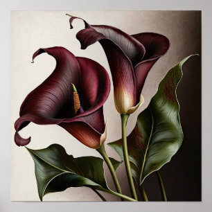 Affiche Maroon Calla Lilies Lily Flower Art Imprimer Poste