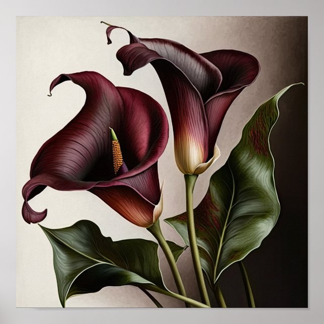 Affiche Maroon Calla Lilies Lily Flower Art Imprimer Poste (Devant)
