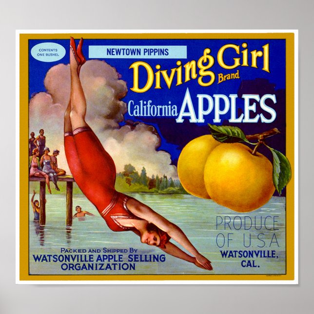 Affiche Marque de fille de plongée Californie Pommes Caiss (Devant)