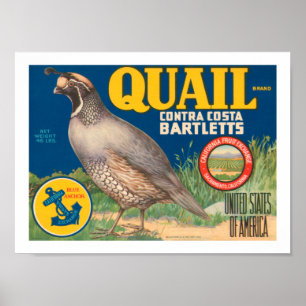 Affiche Marque Quail Contra Costa Bartletts