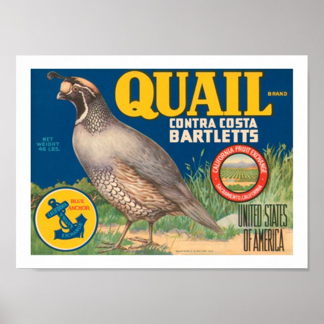 Affiche Marque Quail Contra Costa Bartletts (Devant)