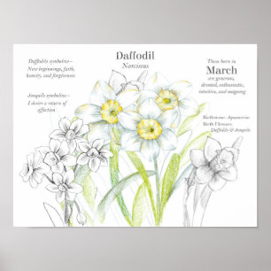Affiche Mars Anniversaire Daffodiques Mois de naissance Fl