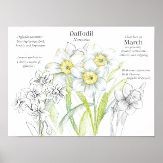 Affiche Mars Anniversaire Daffodiques Mois de naissance Fl