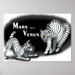 Affiche Mars rencontre Vénus