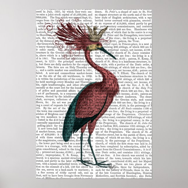 Affiche Marsala Heron (Devant)