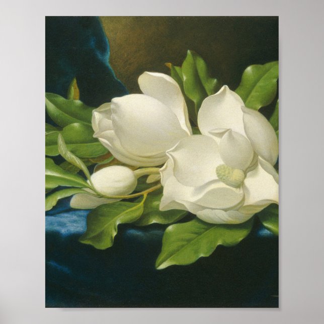 Affiche Martin Johnson Heade (Devant)