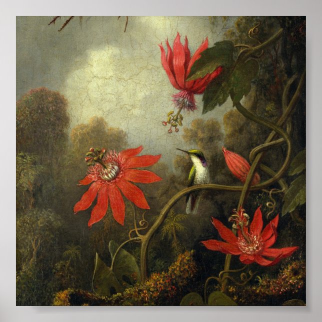 Affiche Martin Johnson Heade - Colibri Et Passion (Devant)