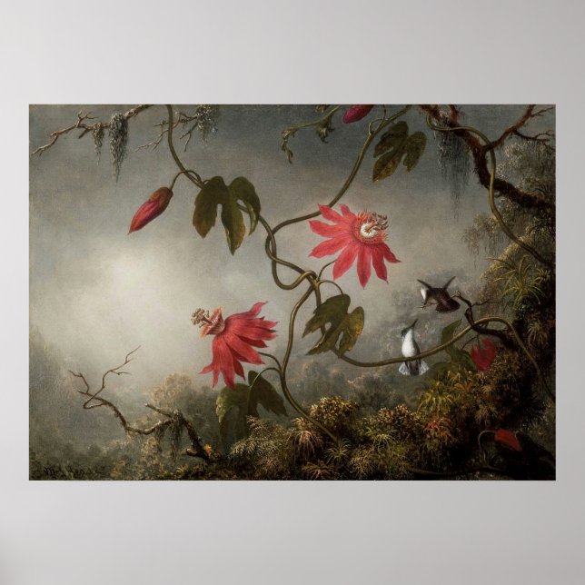 Affiche Martin Johnson Heade - Fleurs de passion et Hummin (Devant)