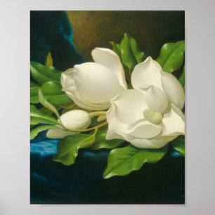 Affiche Martin Johnson Heade - Magnolias géants