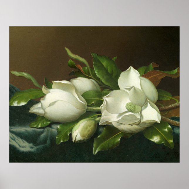 Affiche Martin Johnson Heade - Magnolias sur le bleu clair (Devant)