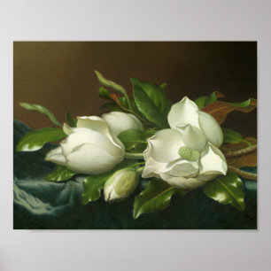 Affiche Martin Johnson Heade - Magnolias sur le bleu clair
