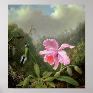 Affiche Martin Johnson Heade Orchid Et Hummingbirds