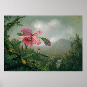 Affiche Martin Johnson Heade - Orchidée avec deux colibri