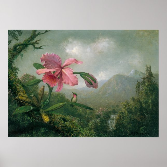 Affiche Martin Johnson Heade - Orchidée avec deux colibri (Devant)