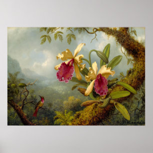 Affiche Martin Johnson Heade - Orchidées et colibris