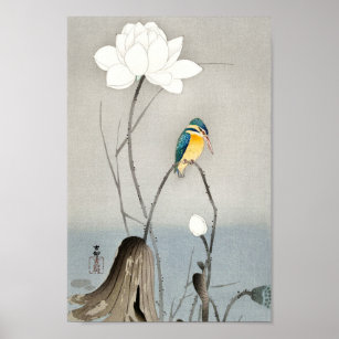 Affiche Martin-pêcheur avec fleur de Lotus - Ohara Koson -