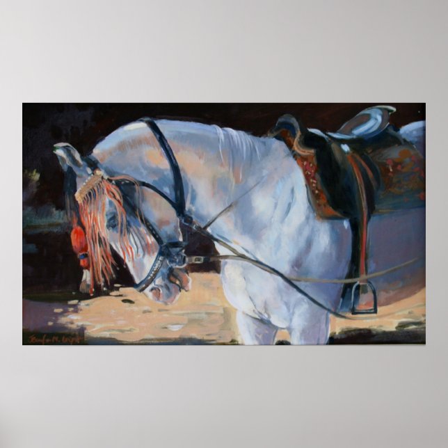 Affiche Marwari Horse Rajasthan 2010 (Devant)