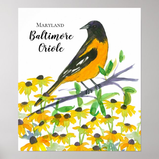 Affiche Maryland Baltimore Oriole Black Eyed Susans (Devant)