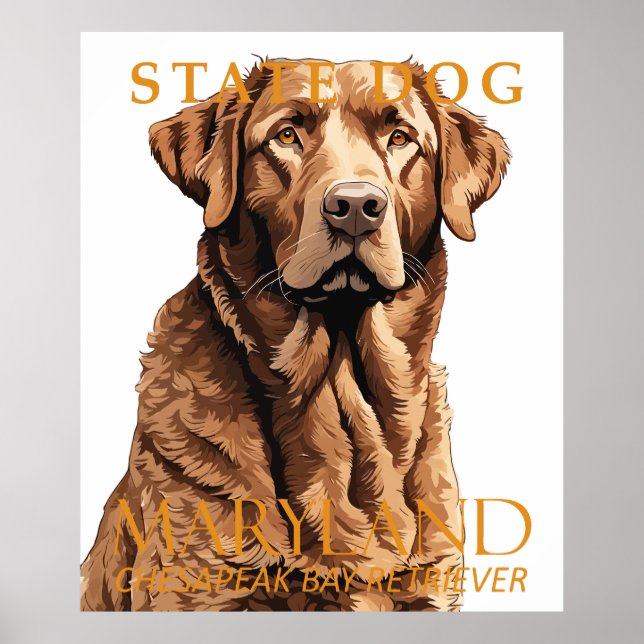Affiche Maryland Territoire Chien Le Retriever 2 (Devant)