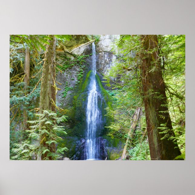 Affiche Marymere Falls I au parc national Olympique (Devant)