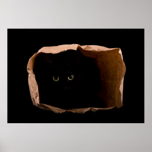 Affiche Masquer dans les ombres