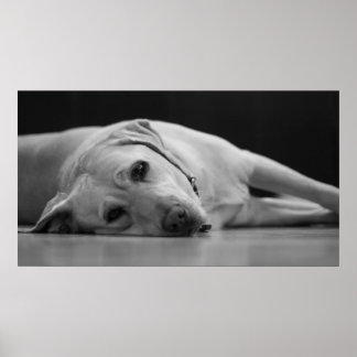 Affiche Masquer le canevas 'ONE'