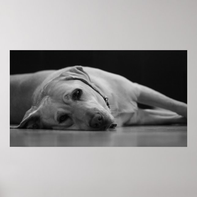 Affiche Masquer le canevas 'ONE' (Devant)