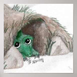 Affiche Masquer le dragon