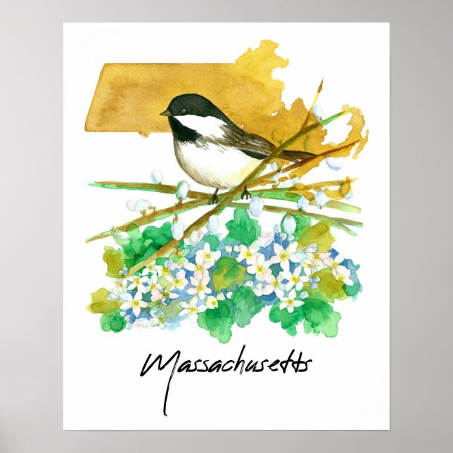 Affiche Massachusetts Bird Chickadee Willow Branches (Devant)