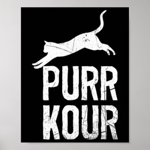 Affiche Matériel de parkour pour chats drôles de Purrkour