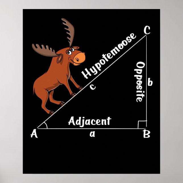 Affiche Math drôle Hypoténoose Géométrie Moose Moose Plais (Devant)