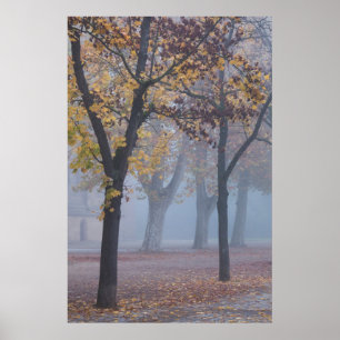 Affiche Matin brumeux dans le parc de la cathédrale