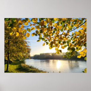Affiche Matin d'automne