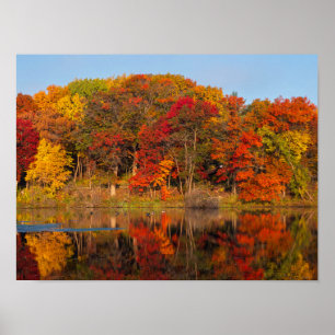 Affiche matin d'automne au parc et étang de marthaler