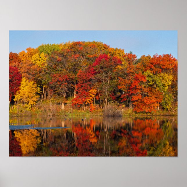 Affiche matin d'automne au parc et étang de marthaler (Devant)