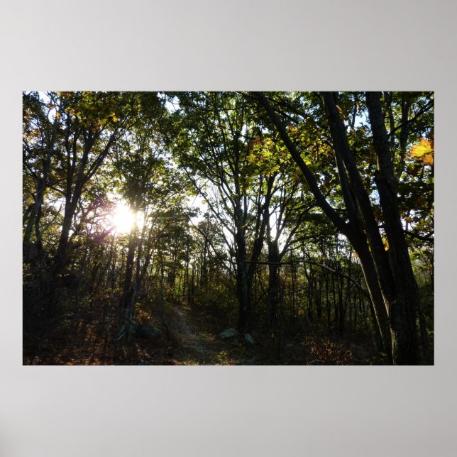Affiche Matin d'automne au parc national de Shenandoah (Devant)