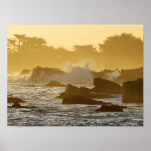 Affiche Matin de Pacific Grove