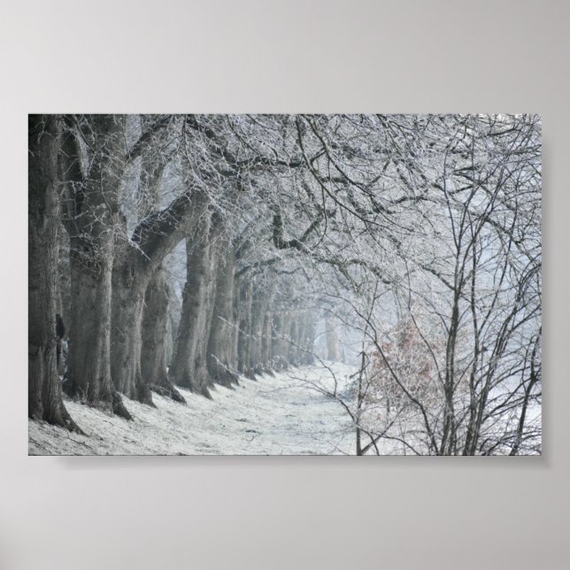 Affiche Matin d'hiver (Devant)