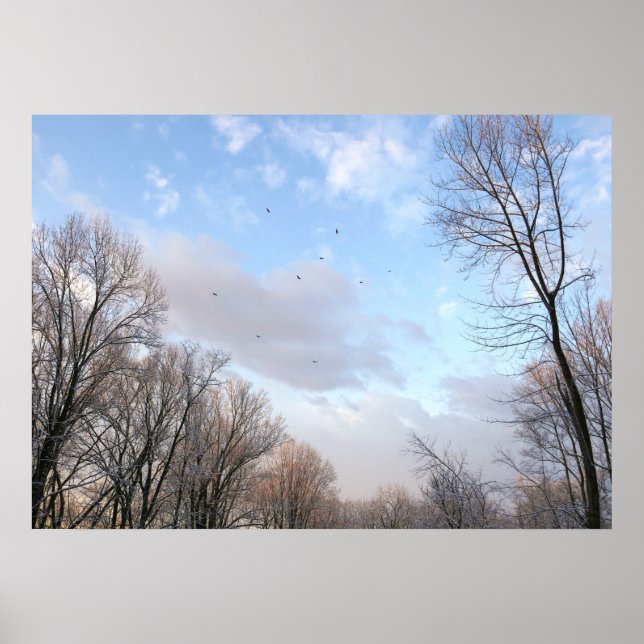 Affiche Matin d'hiver I (Devant)