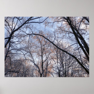 Affiche Matin d'hiver II Paysage naturel