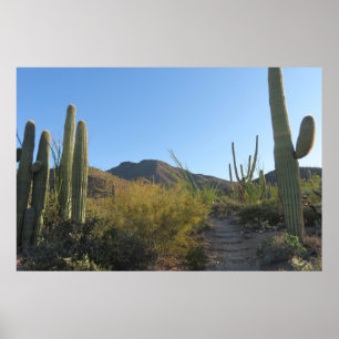 Affiche Matin sur le sentier de King Canyon