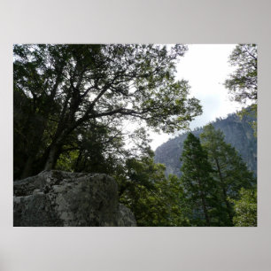 Affiche Matin sur le sentier menant à Vernal Falls dans Yo
